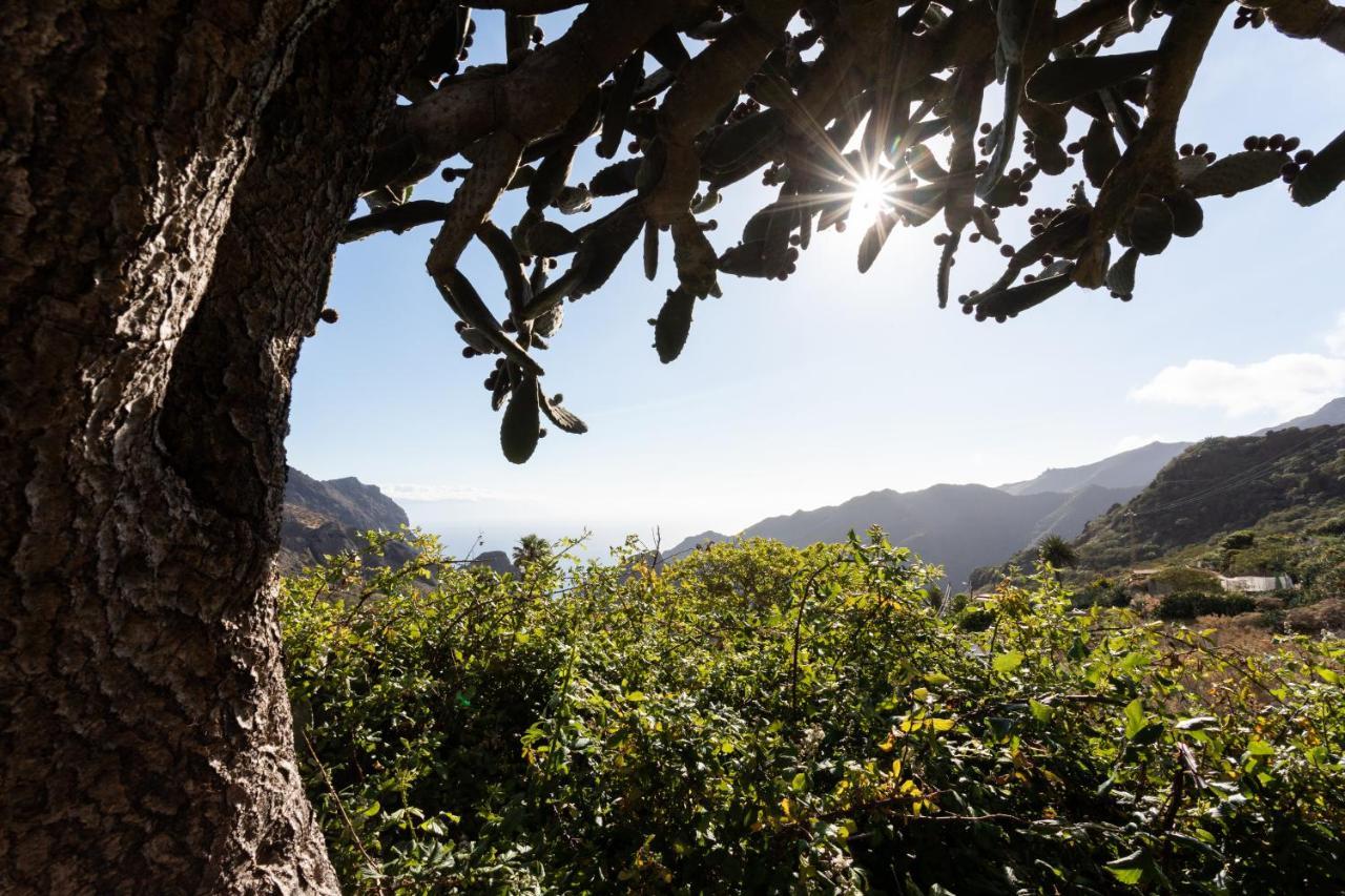 Home2Book Nature Carrizales And Masca House & Wifi Buenavista Del Norte Luaran gambar